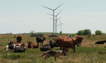 Ко Дню ветра: чем живёт Ботиевская ветроэлектростанция (фото)