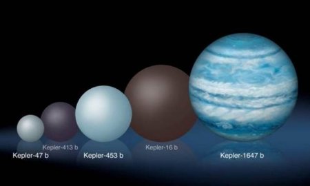 Ученые обнаружили крупную планету, которая может быть заселена