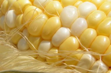 ТОП-5 мифов о продуктах с ГМО