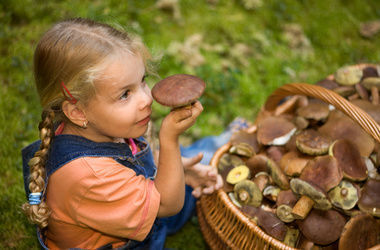 В Черкасской области восемь человек отравились грибами