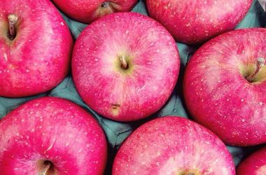 Медики рассказали, почему яблоки нужно есть с кожурой