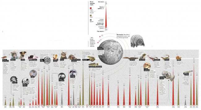 Зверинец в космосе: как животные помогли науке (инфографика)