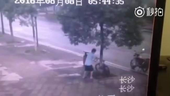 Китаец спилил дерево ради велосипеда (видео)