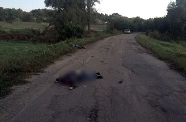 Задержан водитель-беглец, который насмерть сбил трех пешеходов в Полтавской области