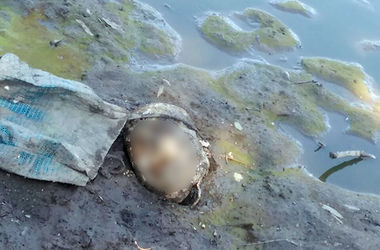 В Хмельницкой области мужчину разрубили на куски (фото)
