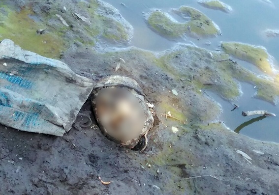 В Хмельницкой области мужчину разрубили на куски (фото)