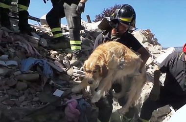 Жертвами землетрясения в Италии стали уже 297 человек