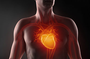 Как сохранить сердце здоровым: 5 важных советов