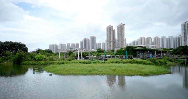 Парк водно-болотных угодий Гонконга